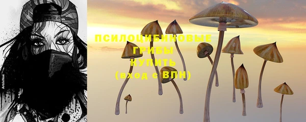 метамфетамин Медногорск