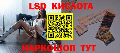 apvp Камышлов