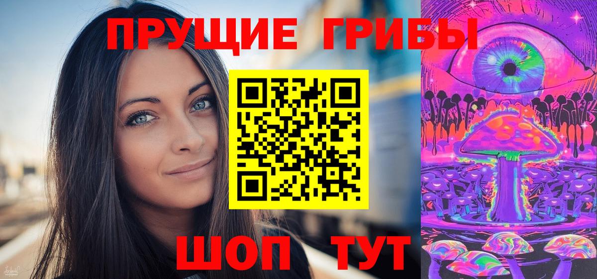 Псилоцибиновые грибы GOLDEN TEACHER  Вход с VPN  Нальчик  Псилоцибиновые грибы Cubensis 