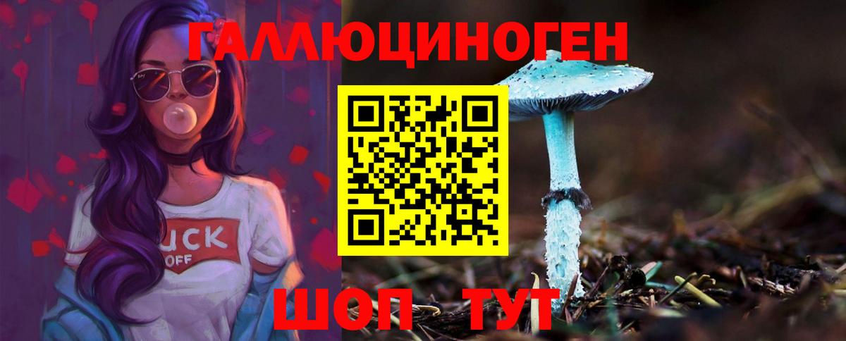 Галлюциногенные грибы Psilocybe Нальчик